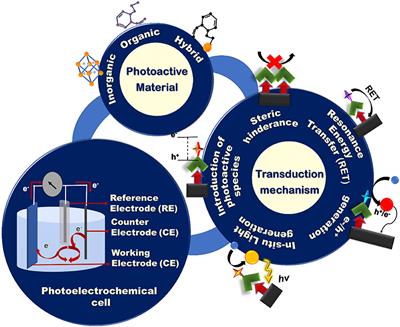 Affinity-Based Detection of Biomolecules Using Photo-Electrochemical Readout